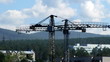 Fast time lapse of tower cranes and construction site Fast time lapse of tower cranes and construction site