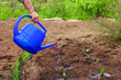 Photo: Gardening Gardening