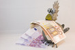 Pleitegeier