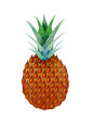 watercolor pineapple fruit