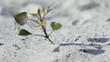 Grow tree