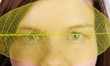 blick durchs blatt