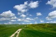 Crete Senesi