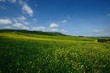 Crete Senesi