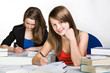 Foto: learning schoolgirl learning schoolgirl