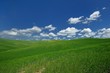 Crete Senesi