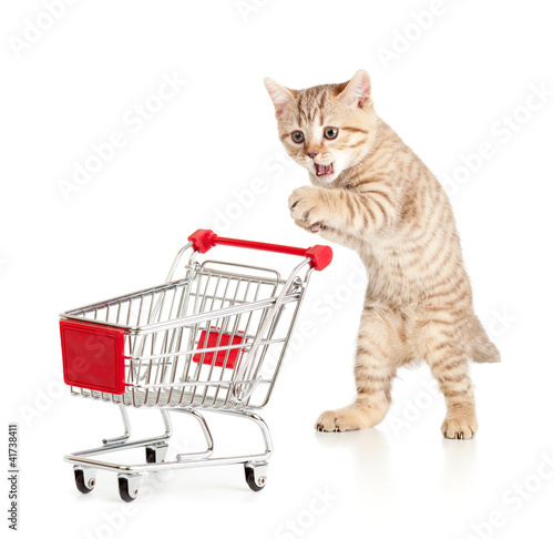 Photo: cat with shopping cart isolated on white cat with shopping cart isolated on white