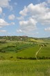Crete Senesi