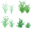 grass, shrubs