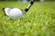 Golf ball in green grass
