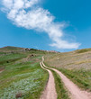 path on green hill