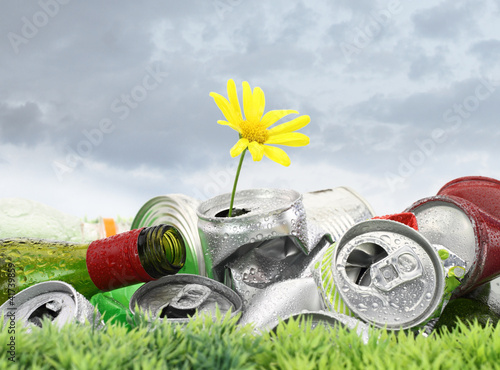 Photo: Garbage with growing daisy under storm clouds Garbage with growing daisy under storm clouds