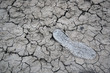 Foot print