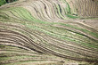 terraces lines terraces lines