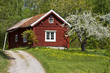 Old cottage in the forest.