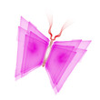 Cyber butterfly isolated on white Cyber butterfly isolated on white