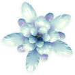 Ilustración: a blue echinopsis cactus flower isolated on white a blue echinopsis cactus flower isolated on white