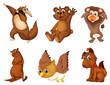 Animal series