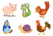 Animal series