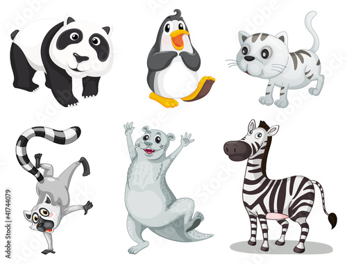 Vetor: Animal series Animal series