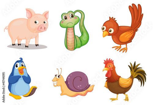 Vektor: Animal series Animal series