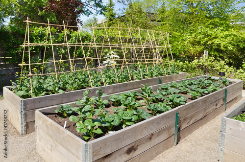 Photo: Kitchen Garden Kitchen Garden