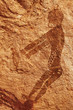 Rock paintings of Tassili N'Ajjer, Algeria
