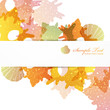 shell background