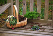 Flower basket