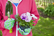 Pansy Gardener