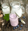Heidelbeerjoghurt
