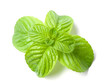Photo: Mint Mint
