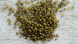 Swarming baby spiders