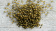 Swarming baby spiders