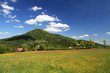 Spring landscape