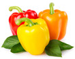 Fresh pepper with leaves