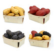 Pommes de terre (4 variétés)
