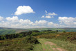 Path through gorse on Selworthy Beacon in Exmoor Path through gorse on Selworthy Beacon in Exmoor