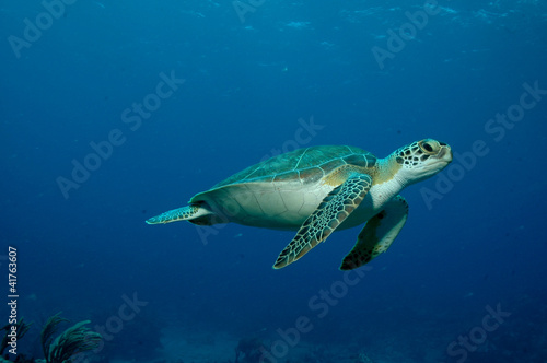 Photo: sxm7 sxm7