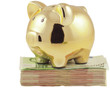 tirelire petit cochon doré sur liasse de billets tirelire petit cochon doré sur liasse de billets