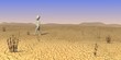 3d render of cartoon character on sand desert 3d render of cartoon character on sand desert