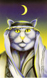 Chat 5