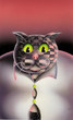 Chat 1