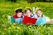 Outdoor reading