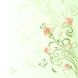 Flower background