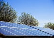 solar panels on the roofs of bungalows