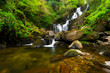 Torc waterfall in Killarney National Park, Ireland Torc waterfall in Killarney National Park, Ireland