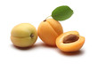 fresh apricot