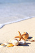 Starfish on the Beach