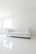 interior, leather sofa  in white room